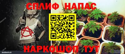 ПСИЛОЦИБИНОВЫЕ ГРИБЫ Татарск