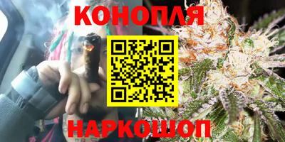 мдпв Тверь
