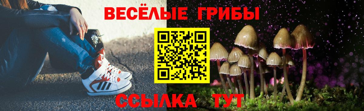 Галлюциногенные грибы ЛСД  Вход с VPN  Холмск 